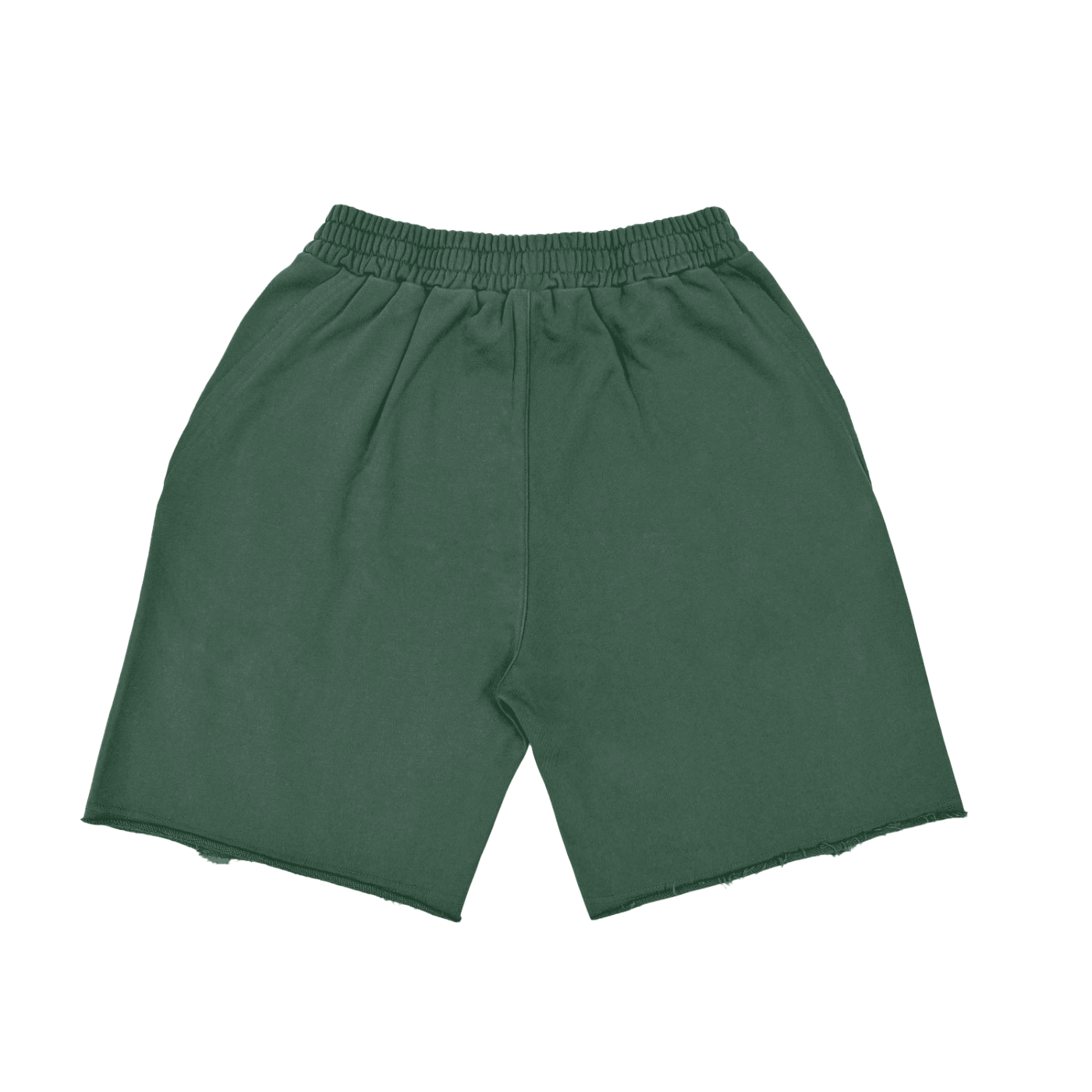 Vintage Washed Gator World Shorts